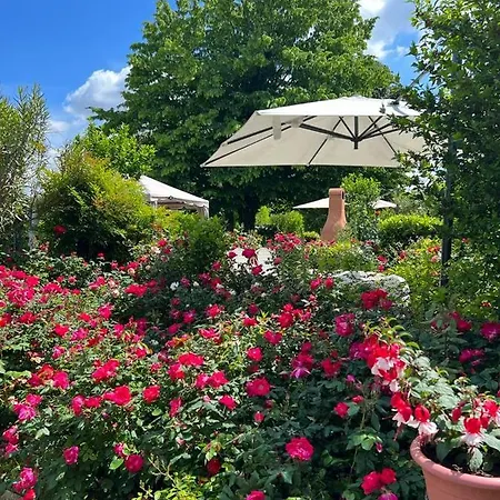 Casa Serenella - Casa Vacanze * بيازولا سول برينتا